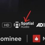 spatial audio on Netflix