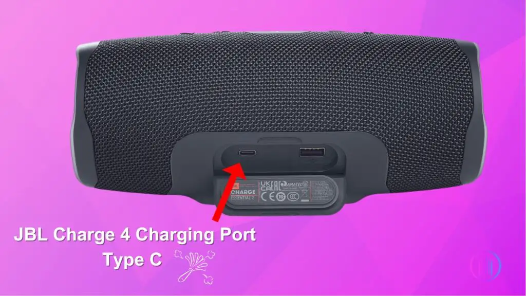 Clean JBL Charge 4 Charging Port 