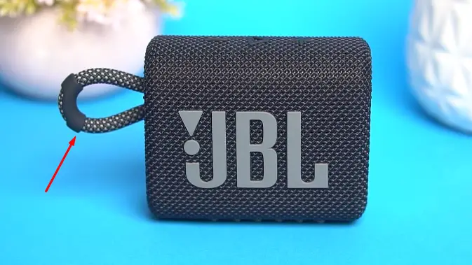 Portability of JBL Go 3